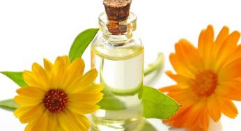 Oil Cleansing Method & How to Remove Blackheads