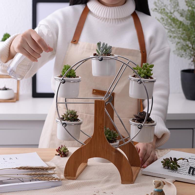 best gifts for succulent lovers