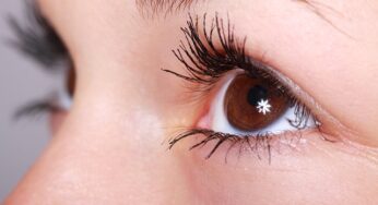 History of Eyelashes